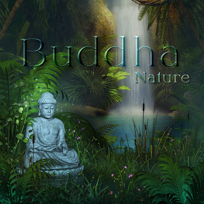 buddha nature